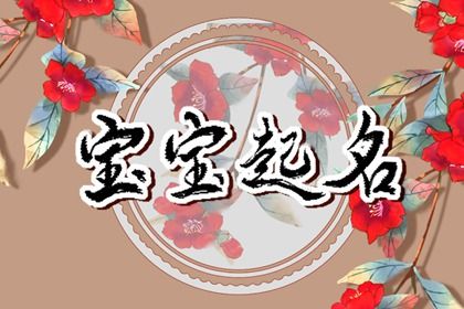 缺什么就补什么吗